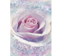 Grande Rosa Morado Papel Mural Floral Belleza Studio Pared Decoración Lila Flor