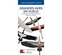 GRANDES AVES EN VUELO - GUIAS DESPLEGABLES TUNDRA