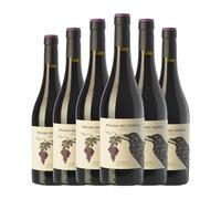Grandes Pagos Gallegos Fraga Do Corvo Mencía Monterrei Joven 75 cl Vino tinto (Caja de 6 Botellas de 75 cl)