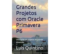 Grandes Projetos com Oracle Primavera P6: Utilização em projetos de grande dimensão