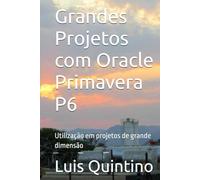 Grandes Projetos com Oracle Primavera P6: Utilização em projetos de grande dimensão