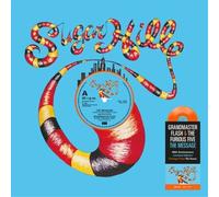 Grandmaster Flash and the Furious Five The Message (Vinyl) (Importación USA)