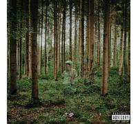 grandson - Counting the Days [Vinilo]