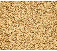 Graneles Granel Eco Avena Pelada 5 Kg Graneles 5000 g