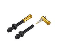 Granite Juicy Nipple Tapón de Válvula y Juego de Vástago de Válvula Presta, Tapas de Polvo para Neumáticos de Bicicleta con Función de Extracción de Núcleo de Válvula (Oro)