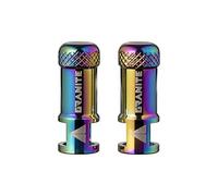 Tapón de Válvula Granite Juicy Nipple con Función de Extracción de Núcleo de Válvula, Tapas de Válvula de Neumático Fáciles de Usar y Cubiertas Antipolvo (Oil Slick)