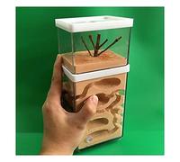 Granja De Hormigas Hormiguero Caja Formicarium Yeso Nido Conveniente Cómodo AntHouse Ant Farm Ant Nest Hábitat Transparente Accesorios Colocar Jaula Casa Mascota