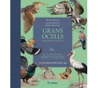 Grans Ocells Dels Pasos Catalans