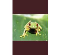 Graph Notebook A5 - 60 sheets: School Notebook for Notes, Maths and Everyday Use - Perfect for Students and Pupils