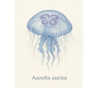 Graph Paper Notebook 5x5 mm - Aurelia aurita - 100 Pages - 8.5 x 11 inches: Elegant watercolor illustration of the moon jellyfish - a marine-themed ... nature lovers, students, and ocean dreamers