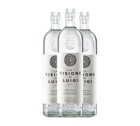 Grappa Luigi Francoli La Visione Botella Medium 50 cl (Caja de 3 Botella Medium de 50 cl)