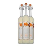 Grappa Poli Miele Botella Medium 50 cl (Caja de 3 Botella Medium de 50 cl)
