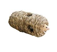 Grasröhre mit 6 Löchern