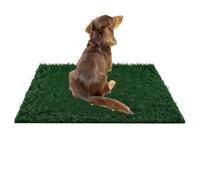 Grass Pad for Dogs Potty dWashable Mat Living Room Balcony Backy