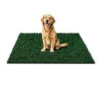 Grass Pad for Dogs Potty dWashable Mat Living Room Balcony Backy