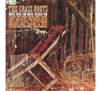 Grass Roots,the - Where Were You When I Needed Y