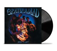 Grateful Dead – Built to Last – Vinilo LP – Rhino (Importación USA)