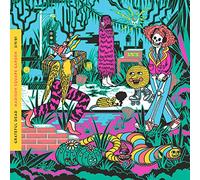 Grateful Dead - Grateful Dead - Madison Square Garden, New York, NY 3/9/81 (3 CD)