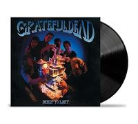 Grateful Dead - GratefulDead - Built To Last