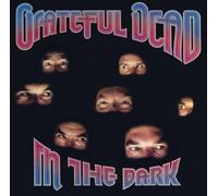 Grateful Dead – In the Dark – LP plateado (Vinilo) – Rhino