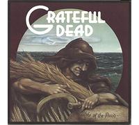 Grateful Dead - Wake Of the Flood