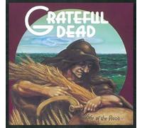 Grateful Dead - Wake Of The Flood 50Th (2 LP Transparente) [Vinilo]