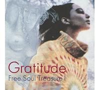 Gratitude: Suburbia Meets Ultra-Vybe 1 - Gratitude: Suburbia Meets Ultra-Vybe ''Free Soul Treasure 1'' [Vinilo]