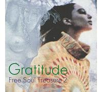 Gratitude: Suburbia Meets Ultra-Vybe ''Free Soul Treasure 2'' [Vinilo]