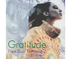 Gratitude: Suburbia Meets Ultra-Vybe ''Free Soul Treasure 2'' [Vinilo]