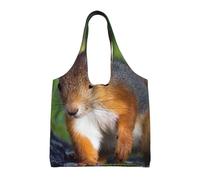 GrAtka Ardilla linda,Bolsas de mano reutilizables, bolsas de supermercado, bolso de hombro de lona de gran capacidad