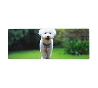 GRatka Bichón Frisé Bokeh Mascotas Perros Parque Perros Blancos,Alfombrilla de ratón Grande para Escritorio, Teclado de Ordenador, Base de Goma Antideslizante, 30 x 80 cm