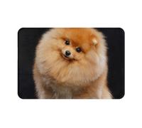 GRatka Felpudo para Exteriores, felpudos Antideslizantes para Entrada Interior, Alfombra para Patio Exterior, 40x60 cm, Cachorro de Perro Pomerania Lindo