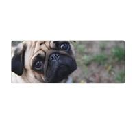 GRatka Perro Pug Impreso,Alfombrilla de ratón Grande para Escritorio, Teclado de Ordenador, Base de Goma Antideslizante, 30 x 80 cm