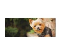 GRatka Yorkshire Terrier Bokeh Lindos Perros Pared,Alfombrilla de ratón Grande para Escritorio, Teclado de Ordenador, Base de Goma Antideslizante, 30 x 80 cm