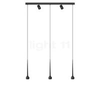 Grau Falling Sun Trace, lámpara de suspensión LED 5 focos, negro - 200 cm