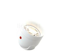 Grau Love Focus, proyectores LED, blanco