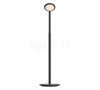 Grau Parrot, batería lámpara de pie LED, negro