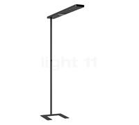 Grau Xt-a Plus, lámpara de pie LED, negro/negro - 98 cm
