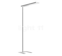 Grau Xt-a Plus, lámpara de pie LED, satén/blanco - 98 cm