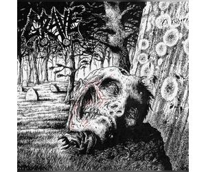 Grave/Corpse/Pu Necropsy: The Complete Demo Recordings (Vinyl) (Importación USA)
