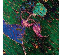 Grave Flowers Bongo Band - Strength Of Spring [Vinilo]