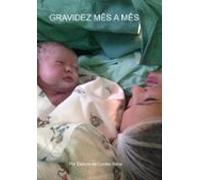 Gravidez Mês A Mês (ebook)