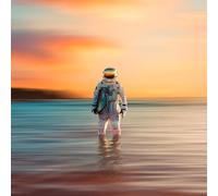 The Dangerous Summer – Gravity – CD – Importación USA