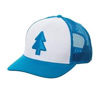 Gravity Falls - Sombrero de Dipper's - Camión curvado - Producto oficial
