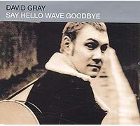 Gray, David - Say Hello, Wave Goodbye