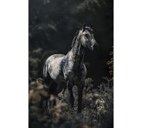 Gray Horse in the Wild Notebook Journal: 6 x 9 Inches 140-page Lined Matte Paperback