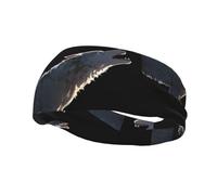 Gray Wolf - Diadema elástica unisex para yoga, baloncesto, absorbe el sudor