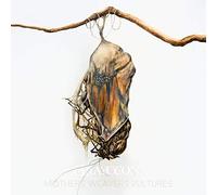 Grayceon - Mothers Weavers Vultures [Vinilo]