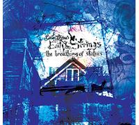 Grdina Gordon's East Van Strings - Breathing of Statues