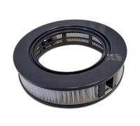Gre CRBR75 - Cartucho filtración de Recambio para Robot eléctrico RBR75 Wet Runner Plus. Recambio Original.